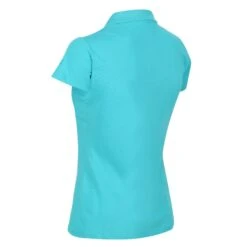 Regatta Womens/Ladies Sinton Polo Shirt (Turquoise) -Adidas Sales Store k0fb15c633ce875fbd6160618d7288393