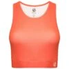 Dare 2b Womens/Ladies Fleur East Edit Move Logo HighNeck Sports Bra (Neon Peach) -Adidas Sales Store k104208d0e60559f6c144a42682e2f4e6