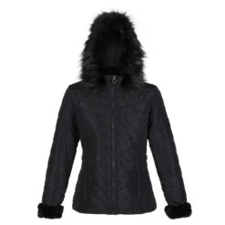 Regatta Womens/Ladies Winslow Rochelle Humes Padded Jacket (Black)