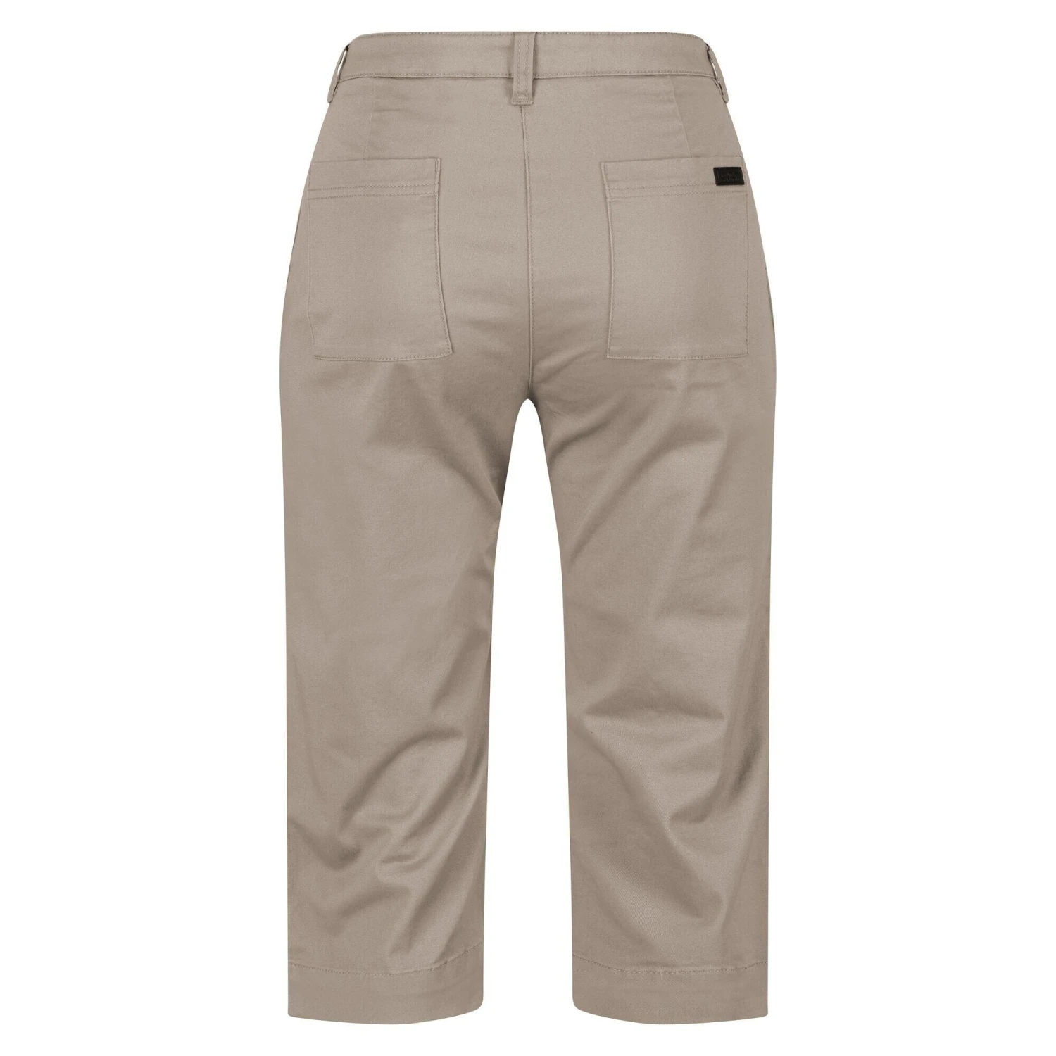Regatta Womens/Ladies Mayaan Capri (Cobblestone) 4 Regatta Womens/Ladies Mayaan Capri (Cobblestone) - Image 2