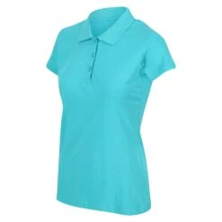 Regatta Womens/Ladies Sinton Polo Shirt (Turquoise) -Adidas Sales Store k7f19e6140c8dec88c7e3b1eac3b7d139