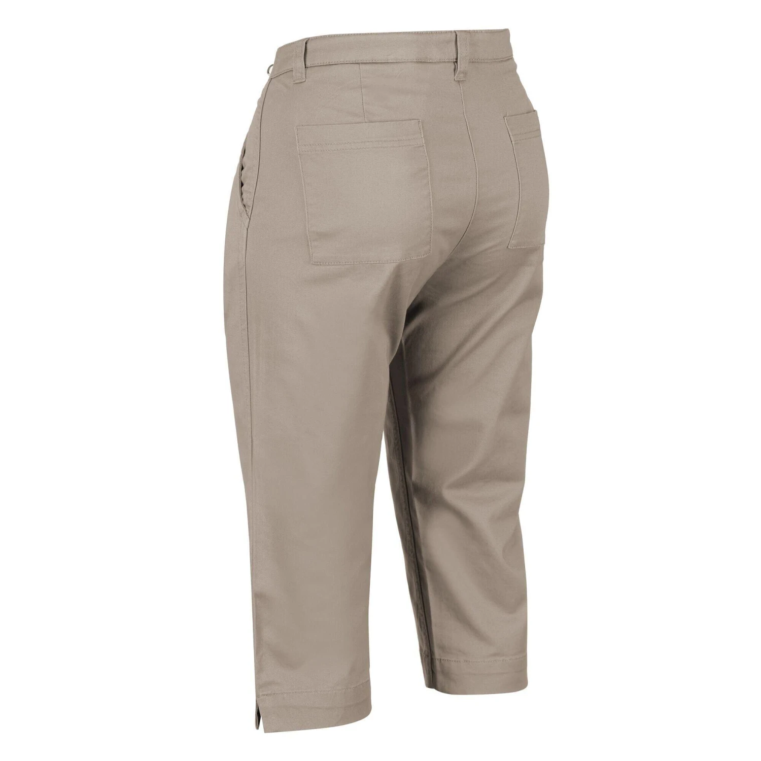 Regatta Womens/Ladies Mayaan Capri (Cobblestone) 5 Regatta Womens/Ladies Mayaan Capri (Cobblestone) - Image 3