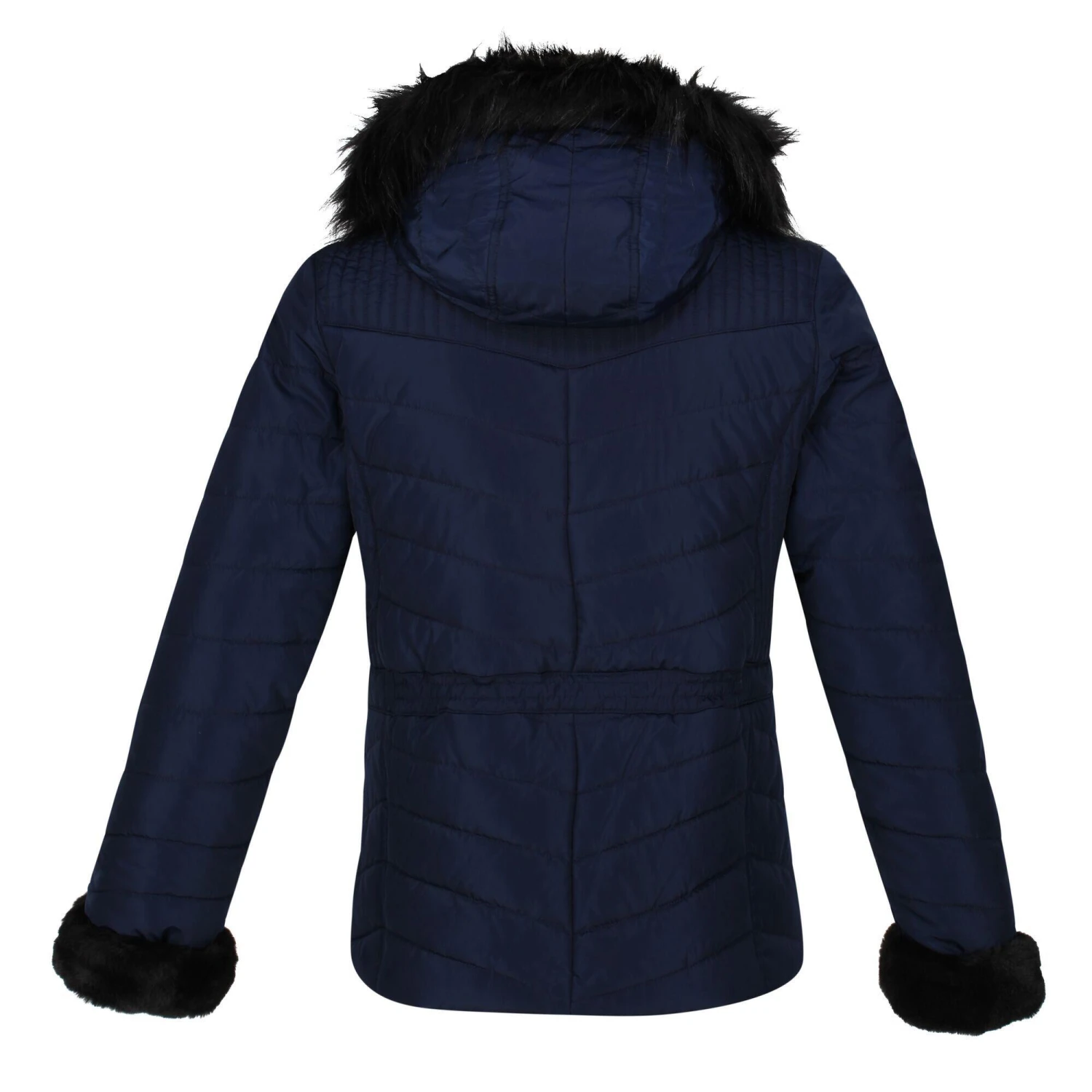 Regatta Womens/Ladies Winslow Rochelle Humes Padded Jacket (Black) 13 Regatta Womens/Ladies Winslow Rochelle Humes Padded Jacket (Black) - Image 11