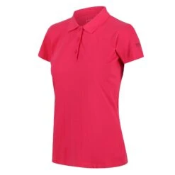 Regatta Womens/Ladies Sinton Polo Shirt (Turquoise) -Adidas Sales Store k8e5d75c359db83f74500320bd5200b43