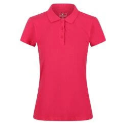 Regatta Womens/Ladies Sinton Polo Shirt (Turquoise) -Adidas Sales Store k94cb14359acc43359ad99715ac79e124