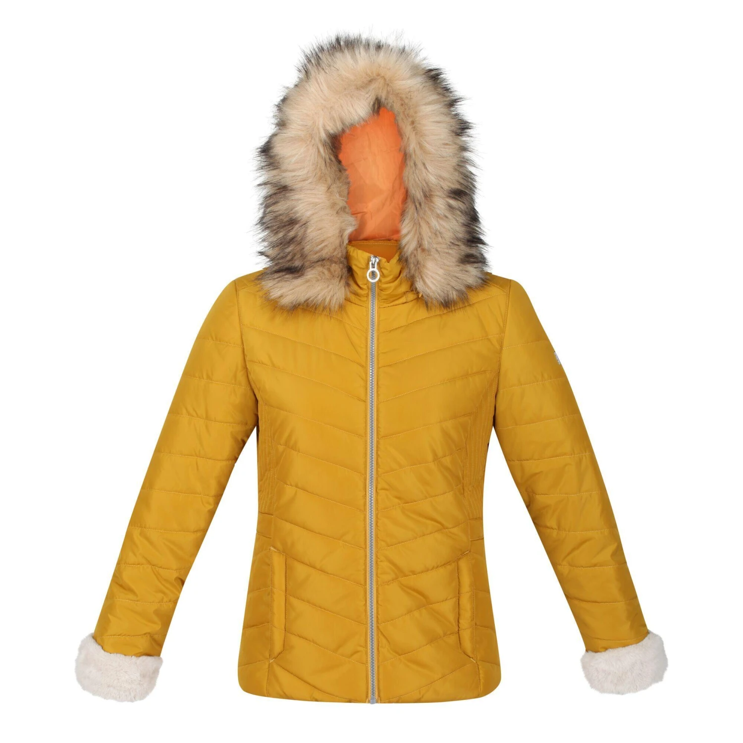 Regatta Womens/Ladies Winslow Rochelle Humes Padded Jacket (Black) 8 Regatta Womens/Ladies Winslow Rochelle Humes Padded Jacket (Black) - Image 6