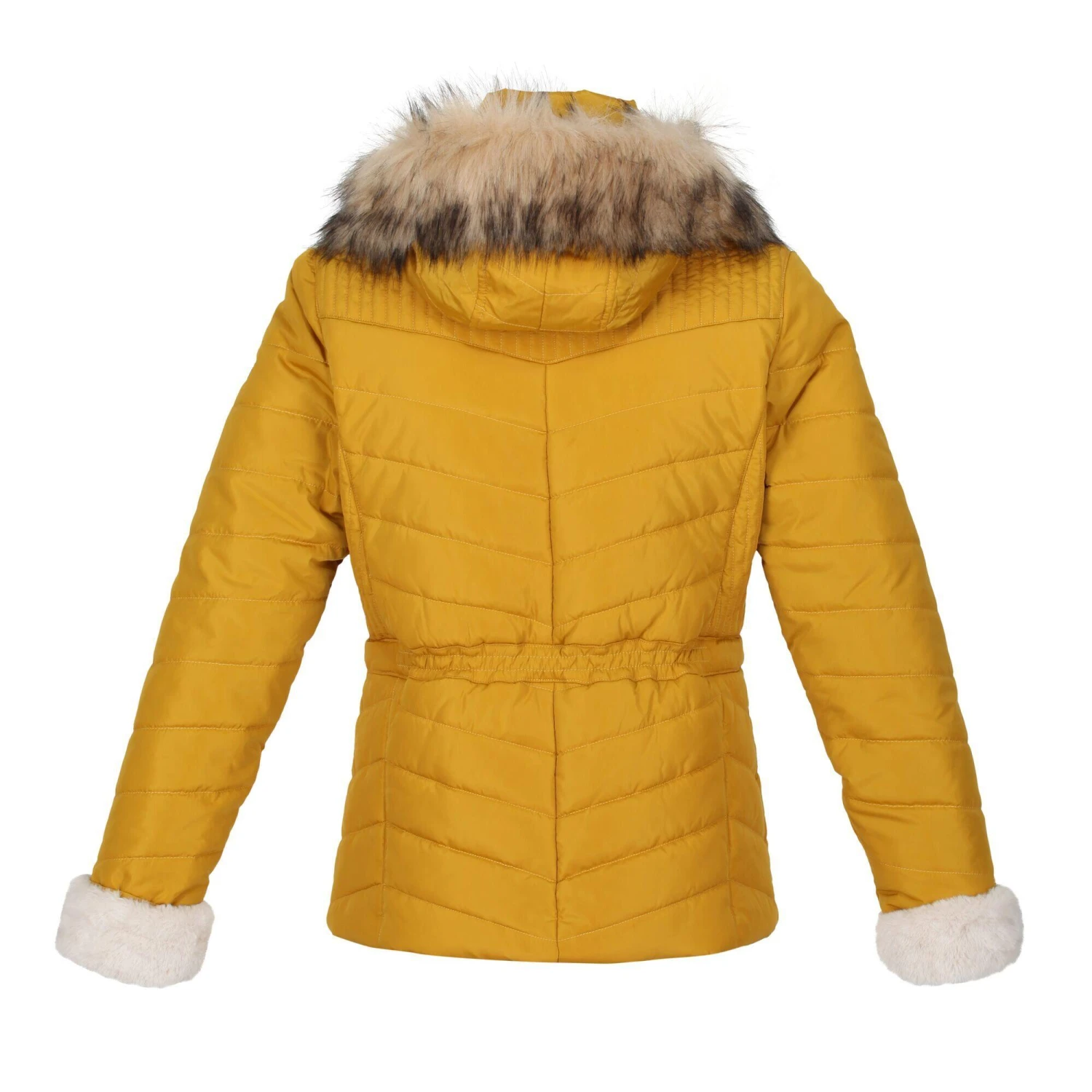 Regatta Womens/Ladies Winslow Rochelle Humes Padded Jacket (Black) 9 Regatta Womens/Ladies Winslow Rochelle Humes Padded Jacket (Black) - Image 7